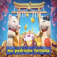 mc pedrinho fortuna